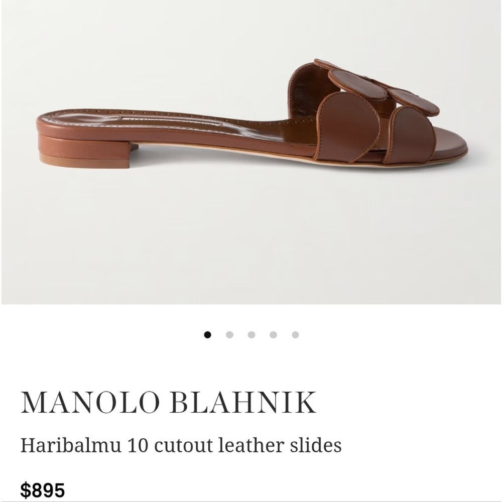 Manolo Blahnik Brown Haribalmù 10 Cutout Leather Slides
